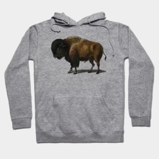 Bison Buffalo Hoodie